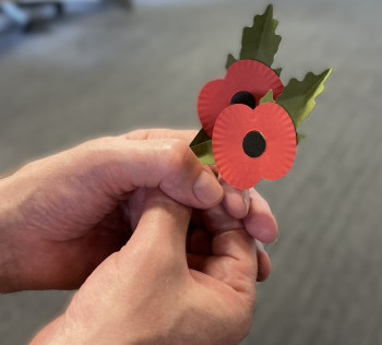 A pair of hands hold red poppies that will be used for ANZAC remembrance.