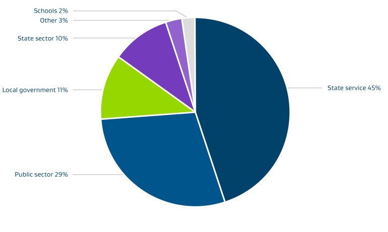 contract spend by govt sector pie