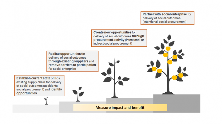 Diagram showing strategic outcome journey for Inland Revenue's  procurement strategy from establishment seedling state to the delivery phase which achieved partnership with social enterprise and delivering social outcomes.