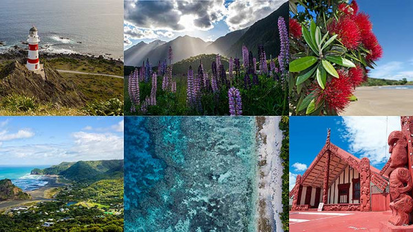 A set of six images that show the different colour themes which commonly can be seen around New Zealand. These colours are used as the inspirations for the upcoming colour palette.